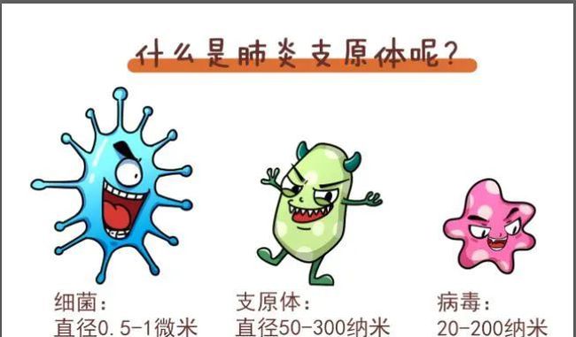 什么是肺炎支原體.jpg